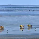 Strandhochhaus SHC1